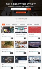 Multi-vendors Digital Marketplace Website + Free Hosting and Installation