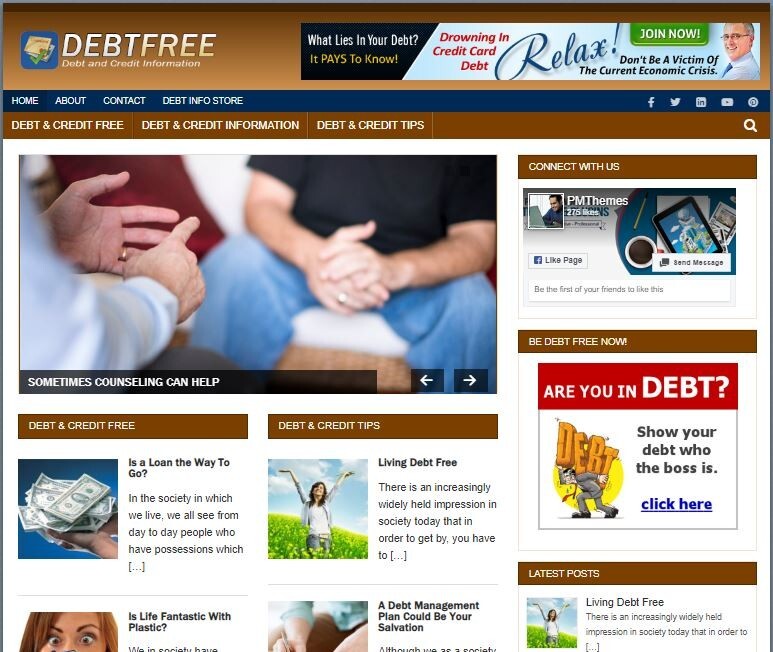 Debt Free Ready Made Blog Turnkey Niche Website Business for Sale