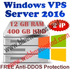 Windows 2016 VPS (Virtual Dedicated Server) 12GB RAM + 400GB HDD + DDOS