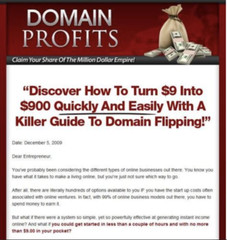 🥇 Established Domain Profits Ebook Website