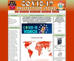 Pandemic Protection Products Website, Amazon Store, Adsense Earnings