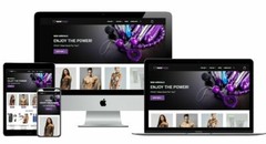5x Turnkey Adult Toys Drop Shipping Store Website