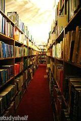Successful AMAZON Business 100,000+ (80,000+ Cataloged) Books!