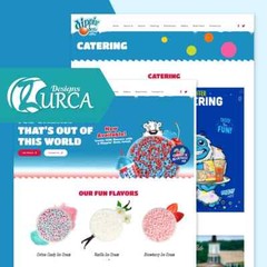 Website Design Service – WordPress Website Design – Professional Mobile Friendly
