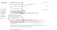 50 DA50 Plus Homepage PBN Backlinks + Guest Posts