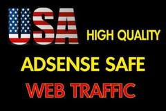 500+ Real USA Visitors to Your Website per Day