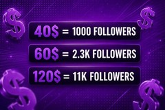Social Media Followers Package 1000, 2.3K, or 11K Options | Internet Business
