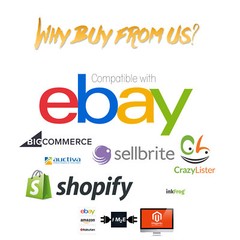 Ebay Store & Listing Template Professional Fully Custom 2024 LOGO DESIGN INCLUDE